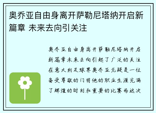 奥乔亚自由身离开萨勒尼塔纳开启新篇章 未来去向引关注